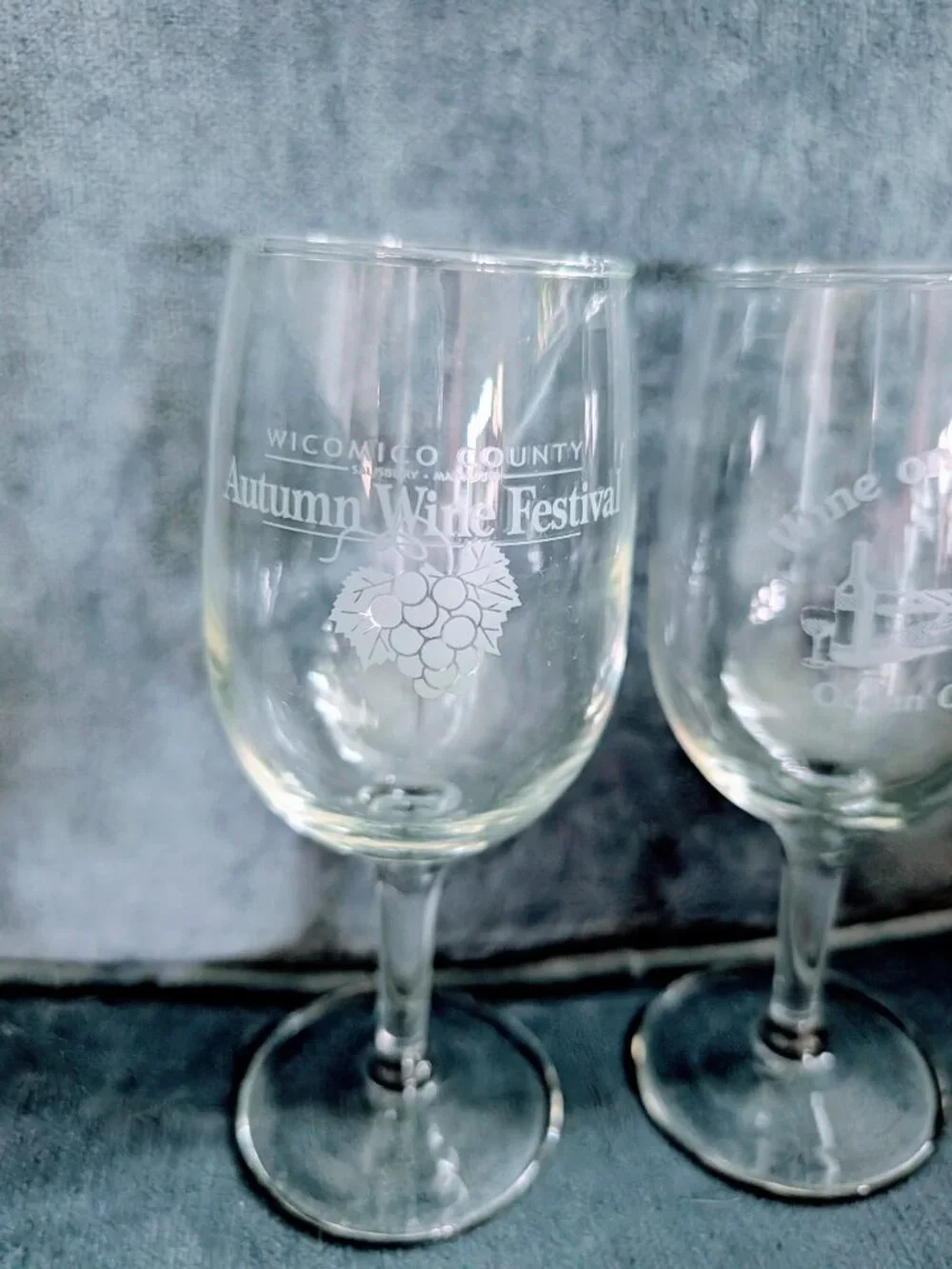 Set of 2 Ocean City MD Salisbury Wine Festival Souvenir Etched Wine Glasses MD